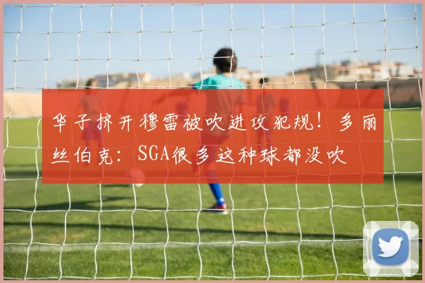 华子挤开穆雷被吹进攻犯规！多丽丝伯克：SGA很多这种球都没吹